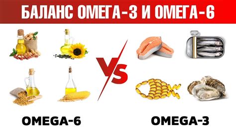 Влияние омега 3 и омега 6 на здоровье